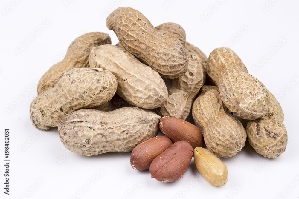 Groundnut, peanut on the white background
Groundnut, peanut on the white background
