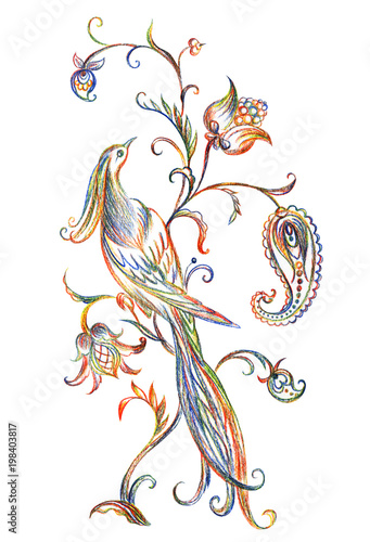 Fairy bird on a fantastic plant  pencil drawing on a white background isolated.