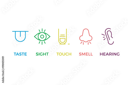 5 human senses illustrations. Taste, sight, touch, smell, hearing. Tongue, eye, finger, nose and ear. Vector trendy thin line icon pictogram designs in different colors