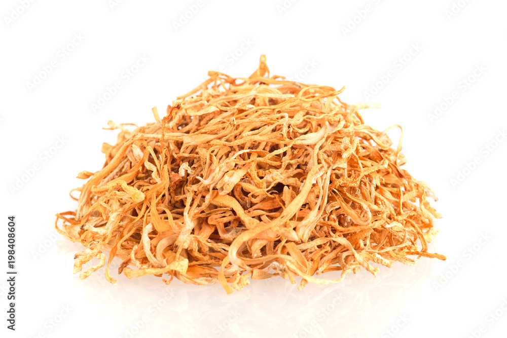Dried cordyceps militaris isolated on white background.