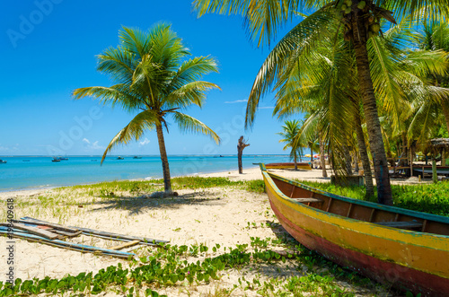 Wooden canoe under a coconut tree on the beach. Green grass around the sand, coconut trees scattered, sea full of anchored boats. Clean and blue sky, sunny day.