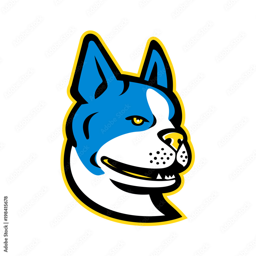 Boston Terrier Dog Mascot Boston Terrier Dog Mascot