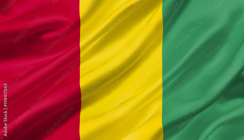 Fototapeta premium Guinea flag waving with the wind, 3D illustration.