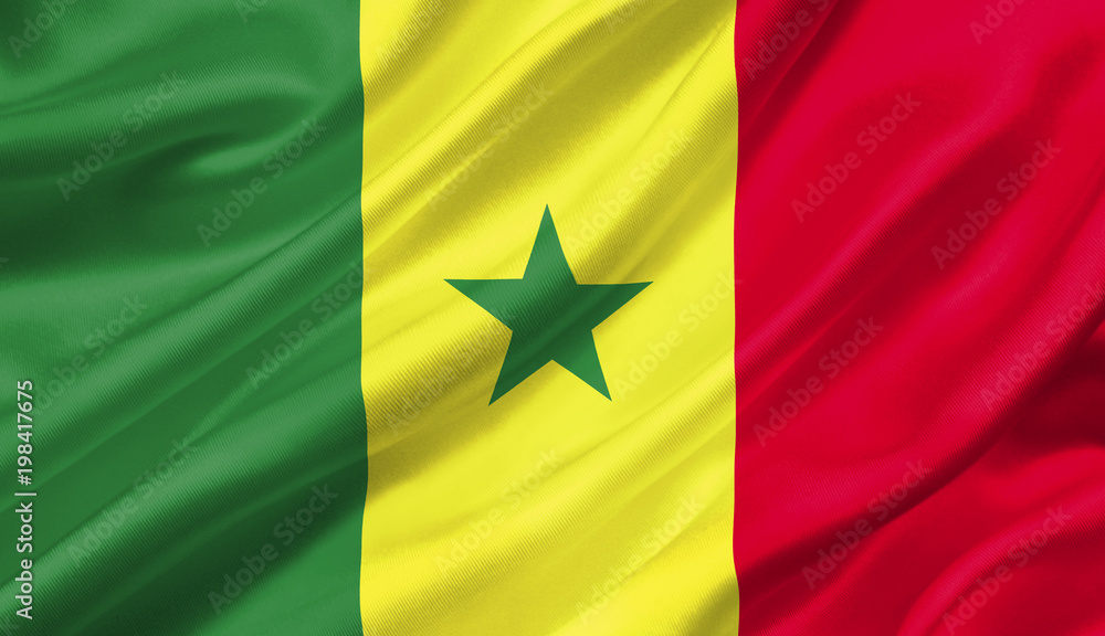 Senegal flag waving with the wind, 3D illustration. Senegal flag waving with the wind, 3D illustration.
