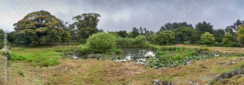 Honinji Pond (pond of marriage)