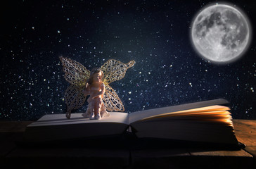 image of magical little fairy sitting on old story book.