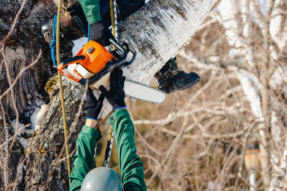 Chainsaw. Cose-up of lumberjack man hands over chainsaw to worker. Chainsaw. Cose-up of lumberjack man hands over chainsaw to worker.