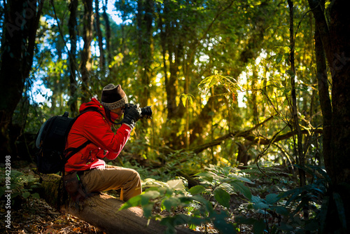 Professional photographer takes photos with camera in the forest