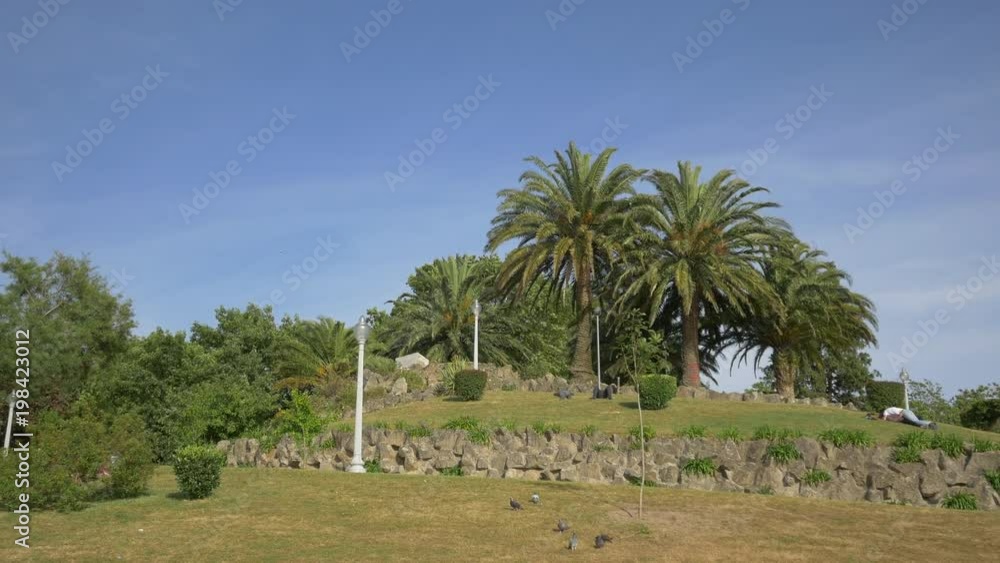 Palm trees in a park Palm trees in a park