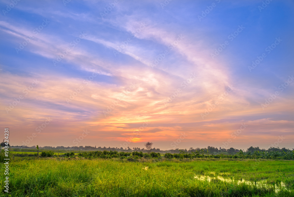 Landscape of field, rural and idyllic with beautiful clouds in countryside on sunset