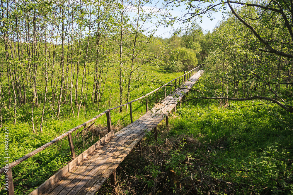 Wooden walkways lead to the beginning of the Volga River Wooden walkways lead to the beginning of the Volga River