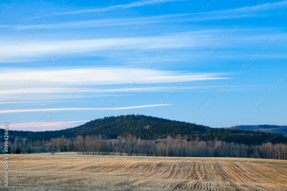 Fototapeta premium A bare brown empty field in early spring