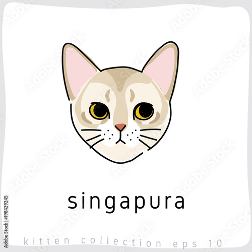 Cat breed collection : Vector Illustration