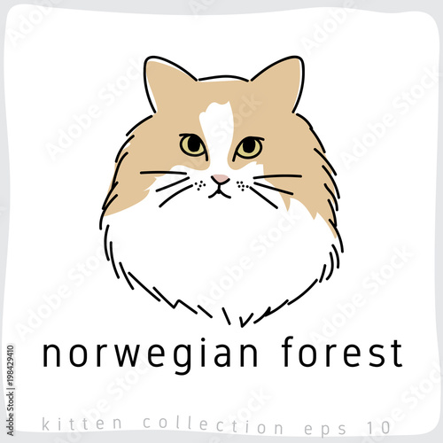 Принти на полотні Cat breed collection : Vector Illustration