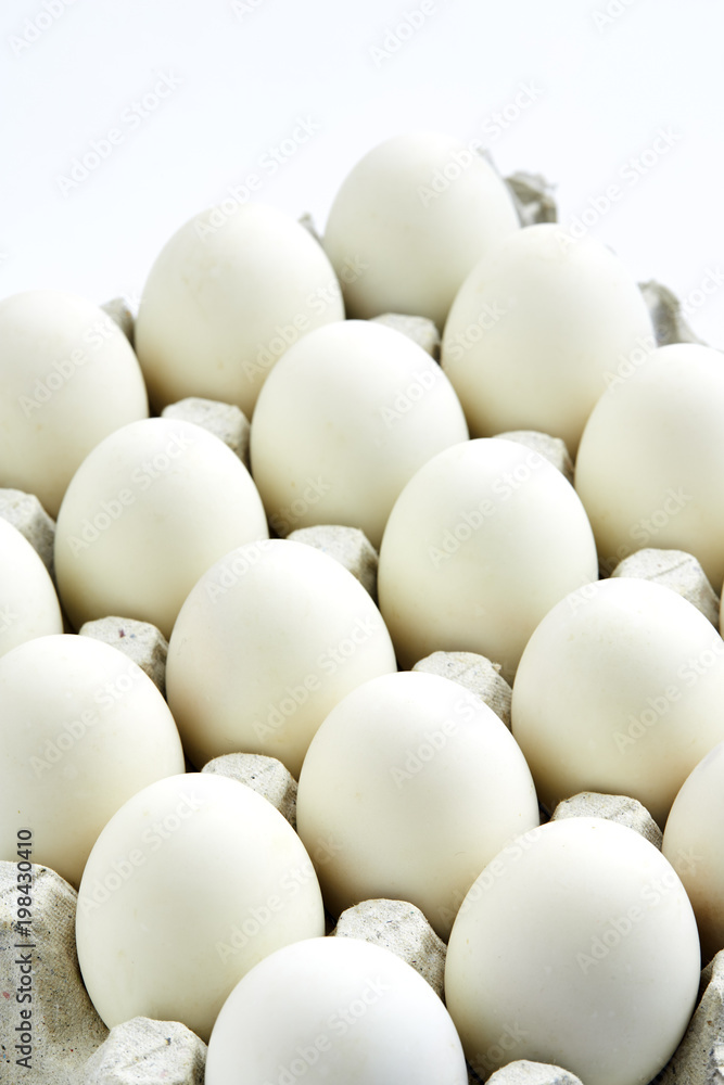 white eggs on a white background white eggs on a white background