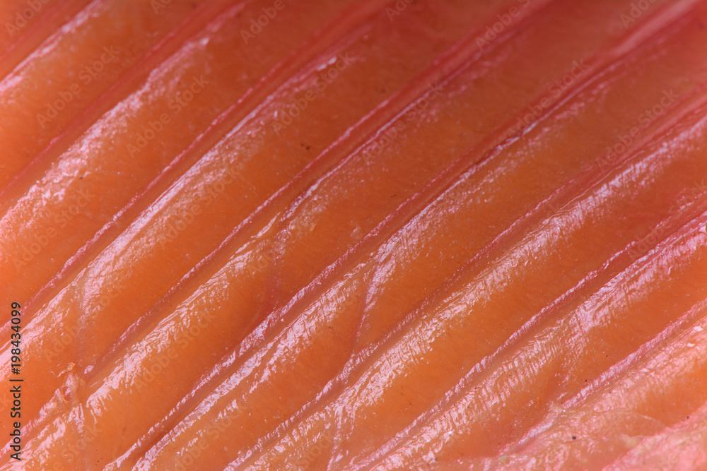 Fish samon texture