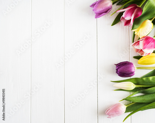 Fototapeta Naklejka Na Ścianę i Meble -  Spring tulips flowers