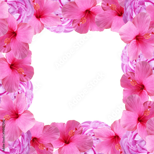 Wallpaper Mural Beautiful floral background of roses and hibiscus  Torontodigital.ca