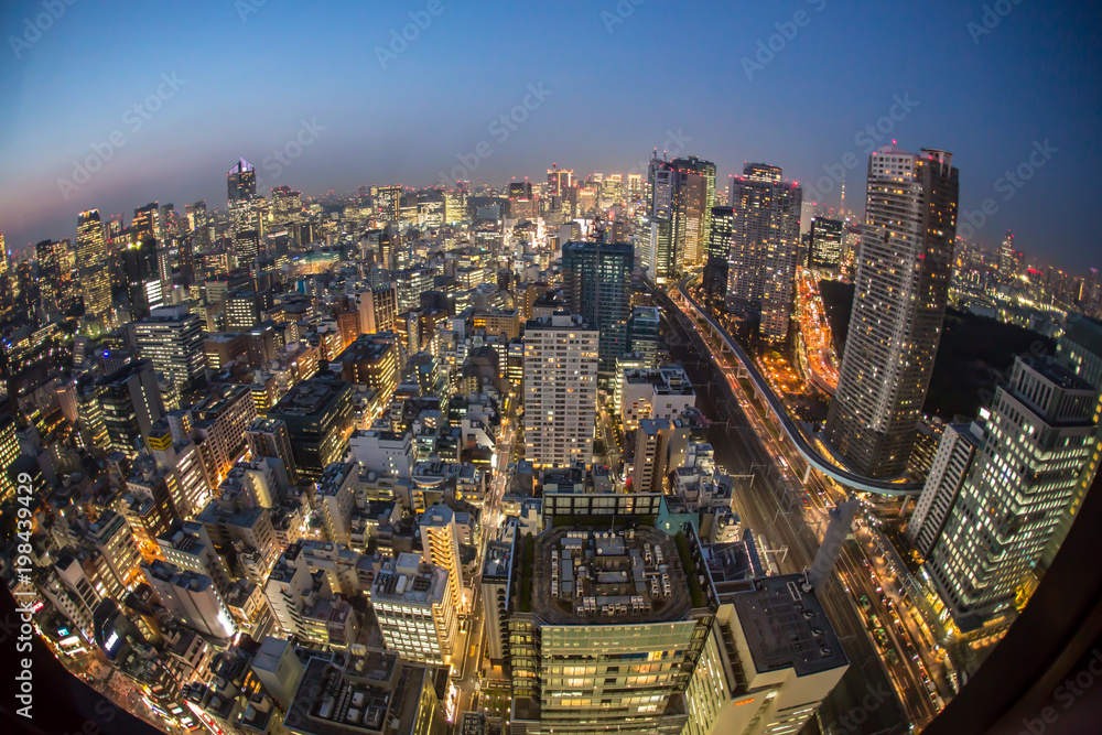 Obraz premium 東京夜景