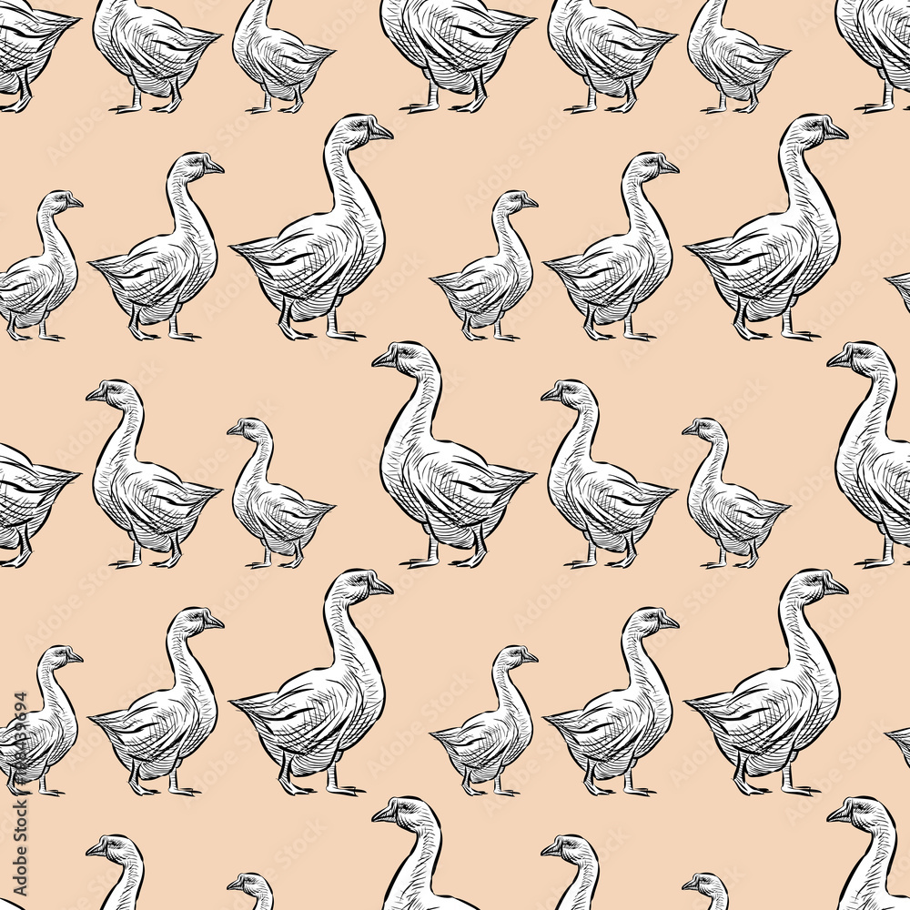 Obraz premium Pattern of the walking geese