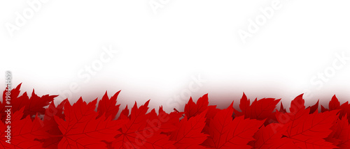 Canada day background design of red maple leaves isolated on white background vector illustration