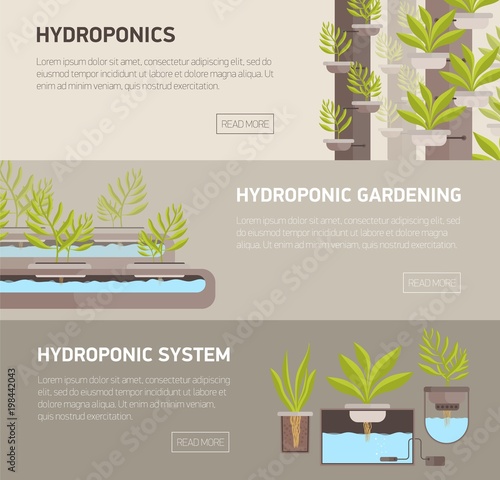 Collection of web banners with plants growing in pots with mineral solution a...