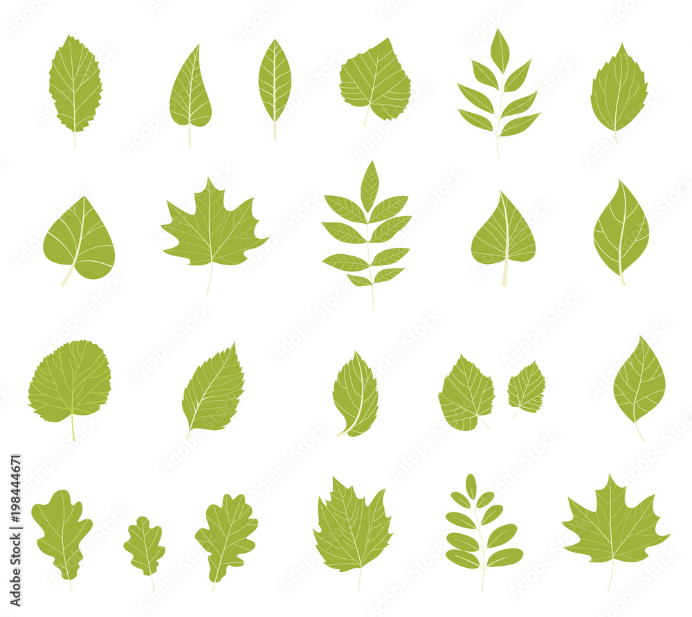 Flat leaves icons.