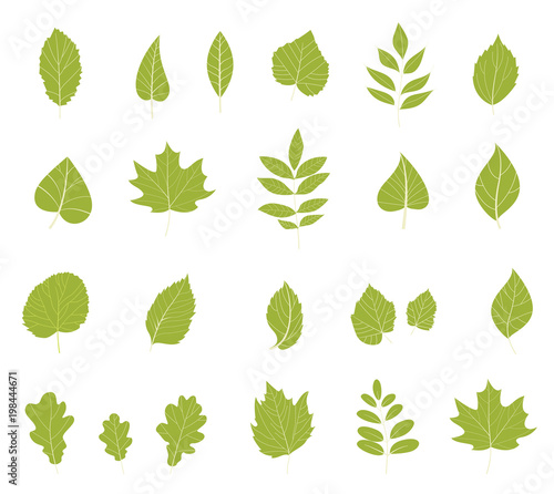 Flat leaves icons.