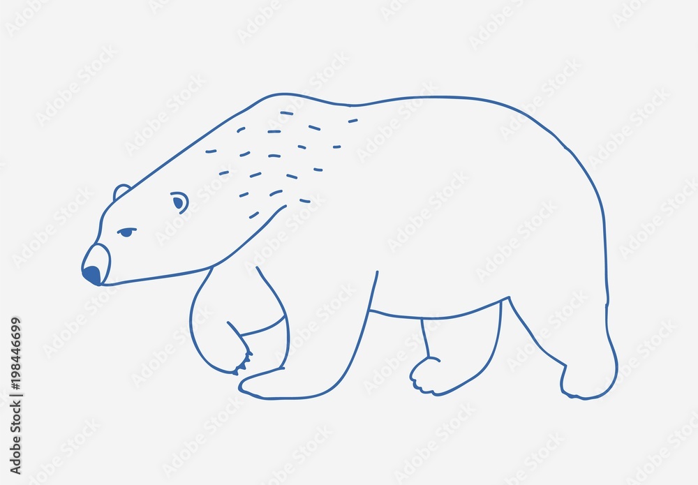 Walking or wandering polar bear hand drawn with blue contour lines on white background. Sad and fierce cartoon wild Arctic animal, large northern carnivorous mammal. Monochrome vector illustration.