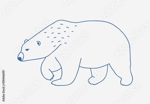 Walking or wandering polar bear hand drawn with blue contour lines on white background. Sad and fierce cartoon wild Arctic animal  large northern carnivorous mammal. Monochrome vector illustration.