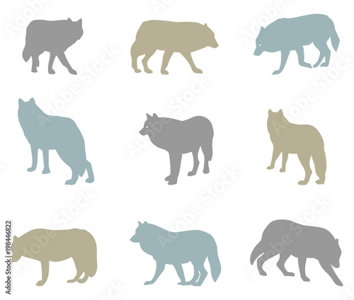 Big vector set of silhouettes of wolves.