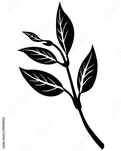 Silhouette branch with leaves