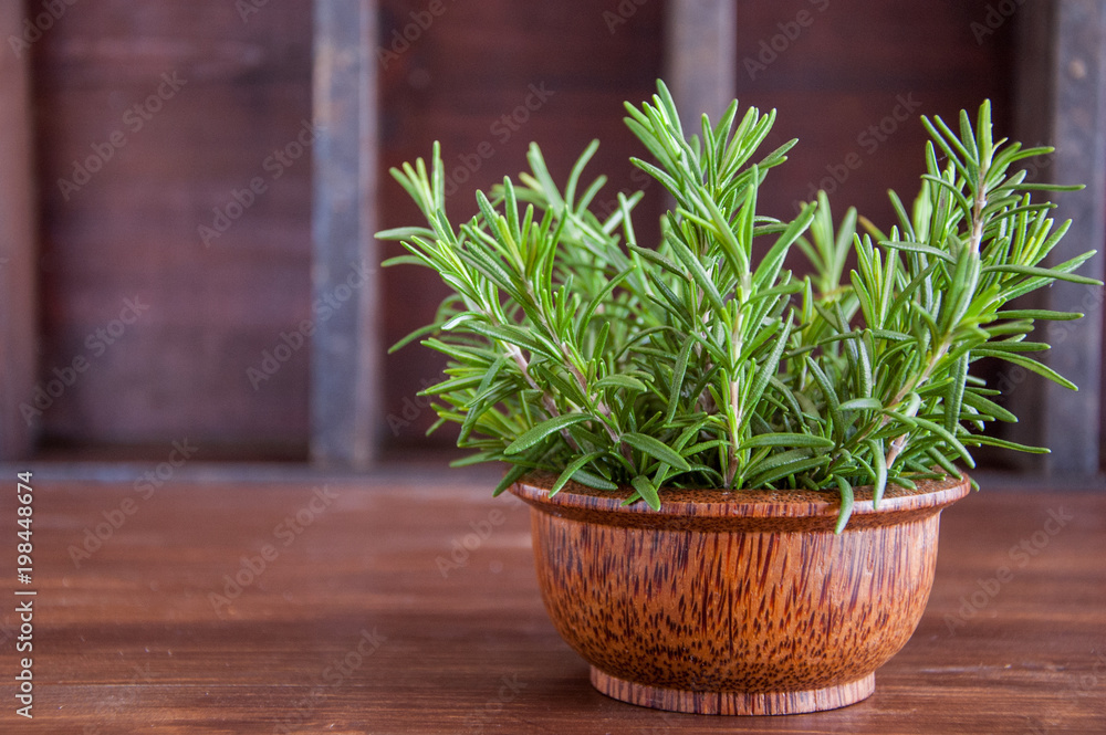 Fresh organic rosemary on a wooden background Fresh organic rosemary on a wooden background