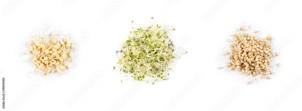 Heap of pea sprouts, sprouted alfalfa seeds and germinated buckwheat, micro greens on white background. Symbol of health and vitamins from nature. Microgreens closeup.