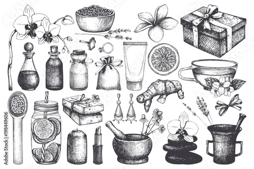Vintage set of  hand drawn SPA and Beauty illustrations. Cosmetics and aromatic ingredients collection. Vector healthy life elements.