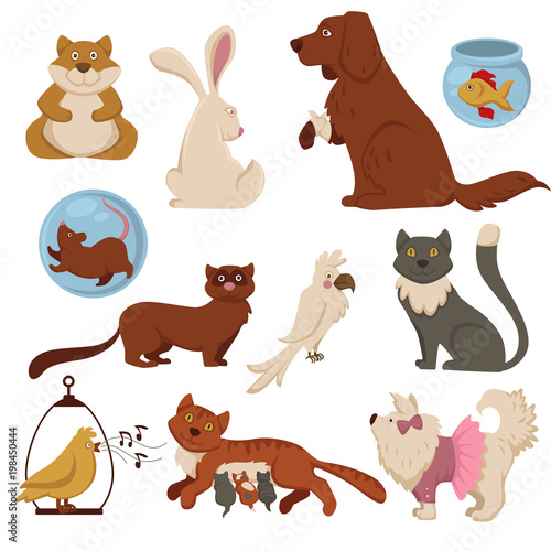 Pets cartoon characters vector flat animal icons of cat and dog or bird and hamster or rabbit