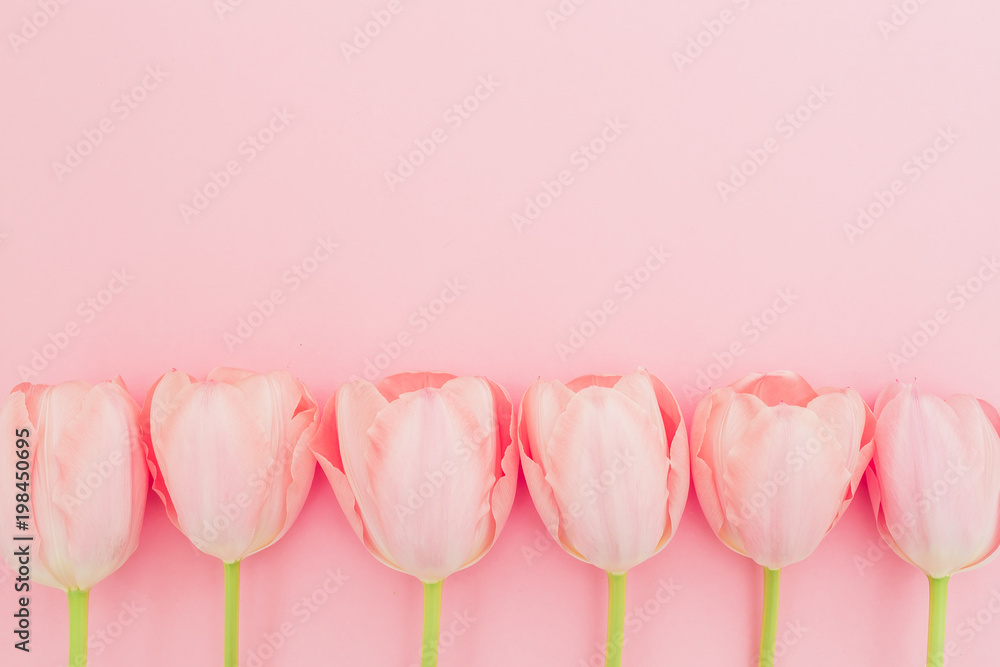 Floral pattern with tulips flowers on pink pastel background. Flat lay ...