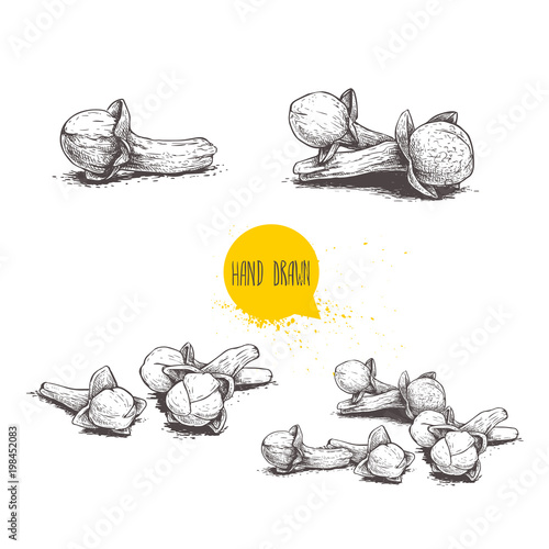 Hand drawn sketch style cloves set. Herbs, spices and condiment collection. Vector illustrations isolated on white background.