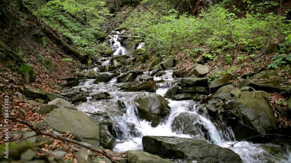 Mountain stream in mountain forest. Water stream quickly flowing downhill. Creek flowing around mossy green stones. Fresh waterfall in rocky path among trees. Wild water stream Mountain stream in mountain forest. Water stream quickly flowing downhill. Creek flowing around mossy green stones. Fresh waterfall in rocky path among trees. Wild water stream
