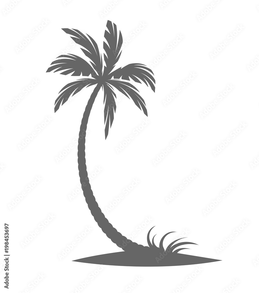 Fototapeta premium Silhouette of palm trees on a white background.