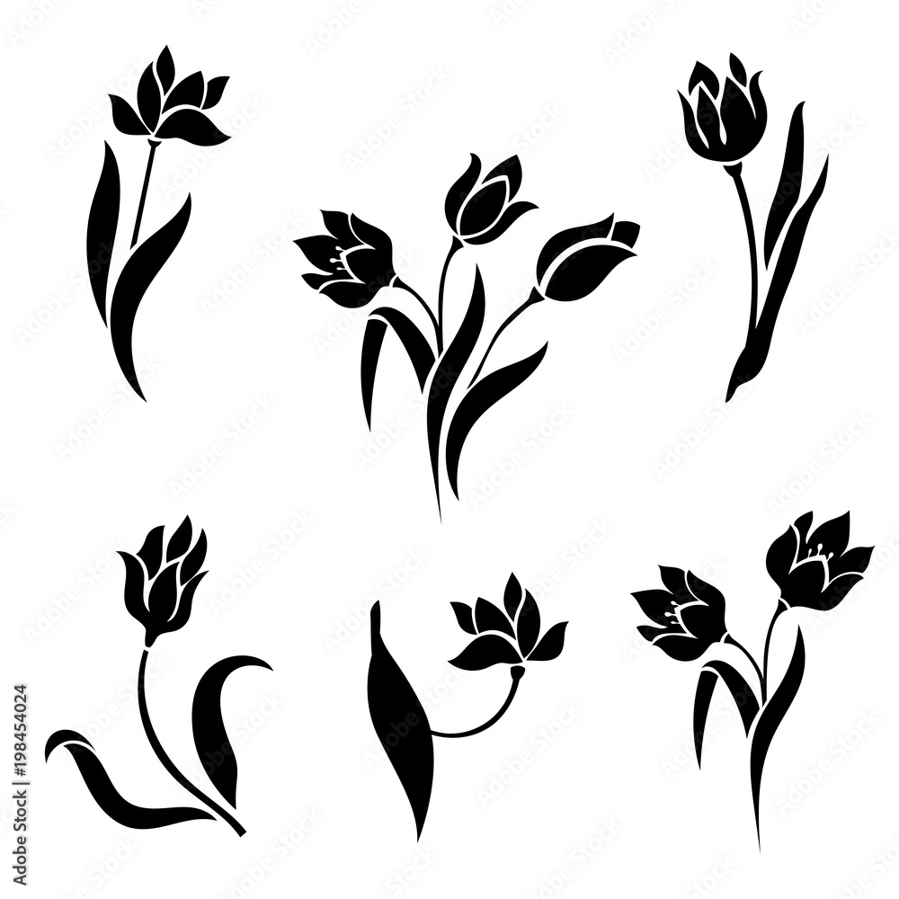 Silhouettes of tulips on a white background.