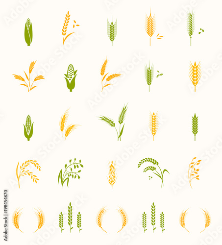 Cereals icon set.