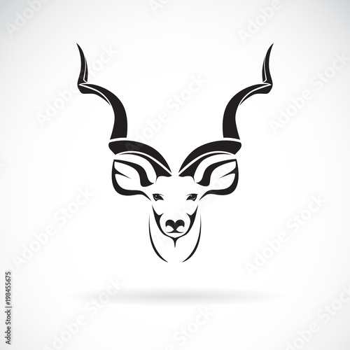 Vector of greater kudu head design on white background, Wild Animals. Easy editable layered vector illustration. photo