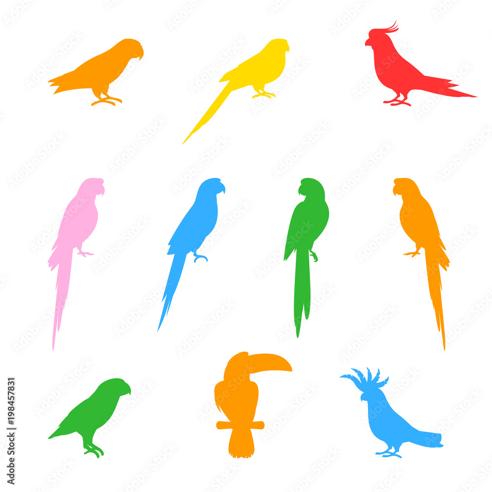 Obraz premium Silhouettes of birds and parrots.
