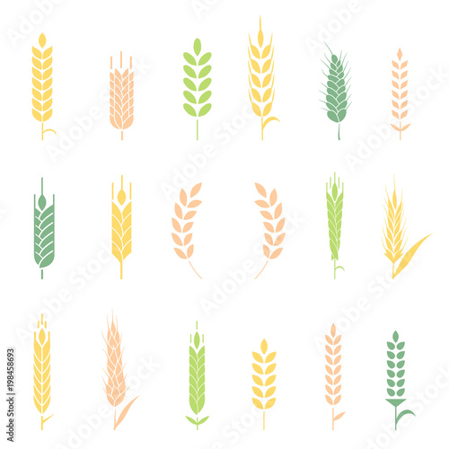Wheat ears or rice icons set.