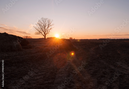 footprints on the ground from the tractor, © vulkanov