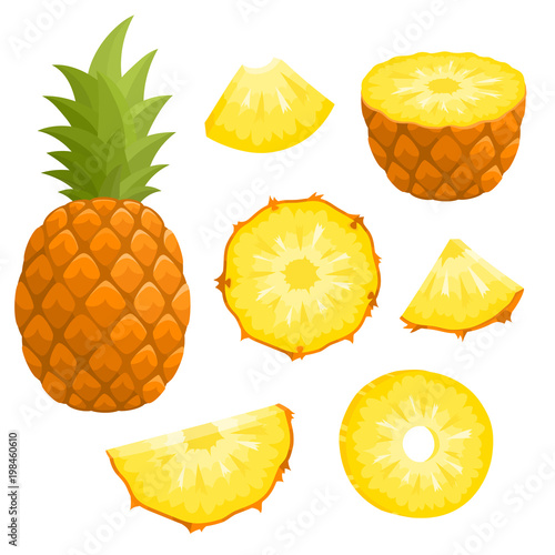 Bright vector set of fresh pineapple isolated on white photo