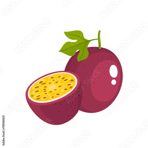 Bright vector illustration of fresh passion fruit isolated on white