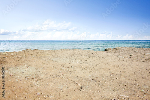 Fototapeta Naklejka Na Ścianę i Meble -  sea coast background 