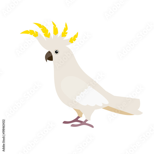 Cartoon cute parrot.